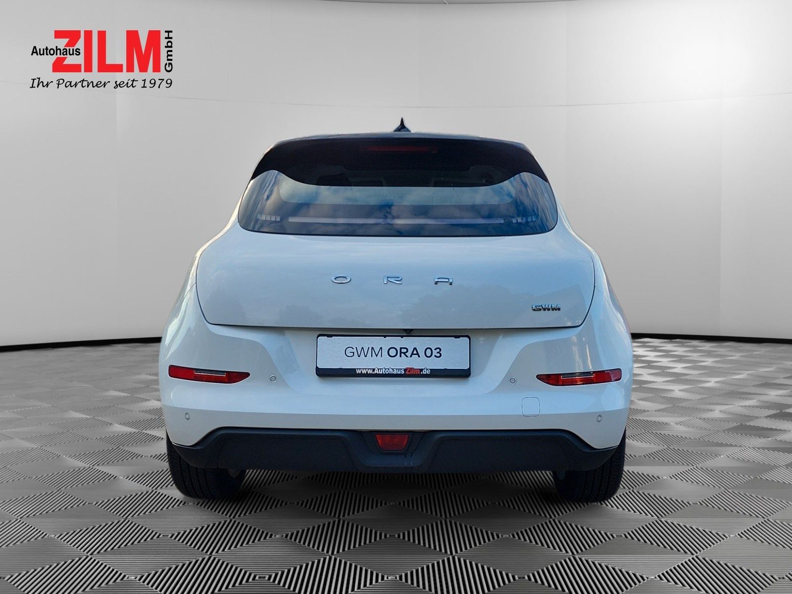 GWM Ora 03 - Bild 5