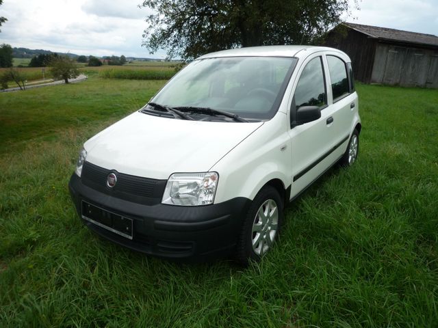 Fiat Panda  TÜV 11/2026