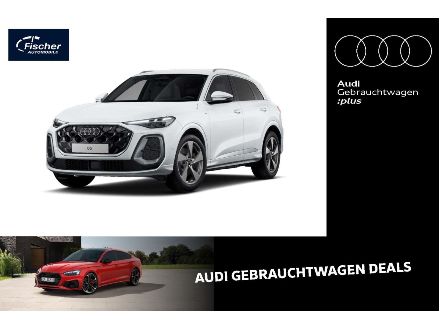 Audi Q5 TDI quattro S line AHK 20'' RFK Memory foto 1