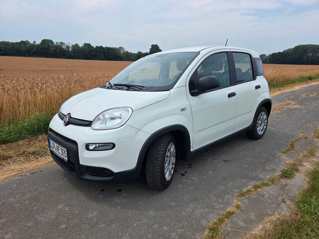 Image of Fiat Panda