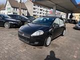 Fiat Punto 1,2 Liter 66 ps 5 Türer - Fiat Punto in Bielefeld