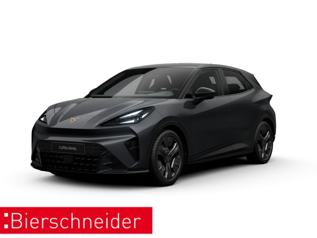 Cupra Raval Endurance Edition Dynamic 18 NAVI KAMERA