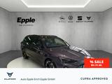 Cupra Leon ST 2.0 TDI AHK-klappbar LED ACC El. Heckkla - Cupra von 2026