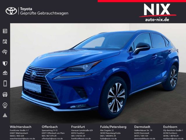 Lexus NX 300h Style Edition SHZ NAVI KAMERA