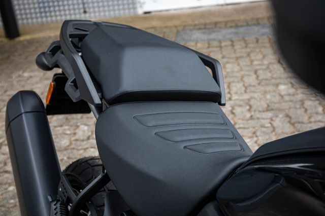 Fahrzeugabbildung Harley-Davidson PAN AMERICA SPECIAL RA1250S - INDIVIDUALLACK