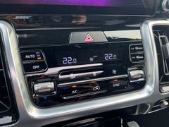 Fahrzeugabbildung Kia Sorento 2.2 CRDi DCT8 AWD Platinum PANO 1.HAND