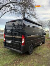 Laika Ecovip 600  - Laika Diesel Kastenwagen