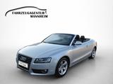 Audi A5 Cabriolet 1.8 TFSI * TÜV NEU - Automatic * - Audi A5: Auto