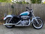 Harley-Davidson Sportster 883 - Angebote entsprechen deinen Suchkriterien