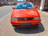 Volkswagen Polo 6 N 1.6 L  75 PS - Volkswagen Polo aus 1995 mit Benzin-Antrieb: Kleinwagen