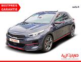 Kia XCeed 1.6 T-GDI Platinum Edition Sitzbelüftung - Kia XCeed Gebrauchtwagen
