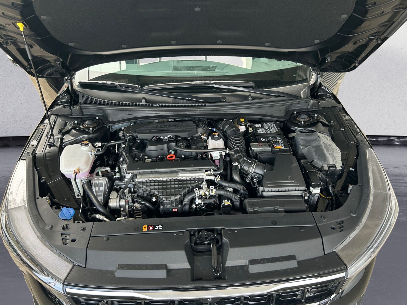 Kia K4 - Bild 9