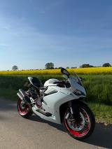 Ducati 959 Panigale *Carbon*wenig KM*HU Neu* - DUCATI 959 PANIGALE