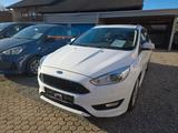 Ford Turnier Titanium - Ford Focus Titanium mit Benzin-Antrieb