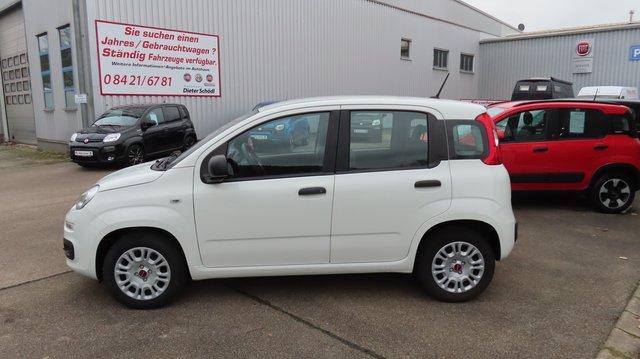 Fiat Panda Easy 1,2 69 PS Weiss+ WR+Zahnriemen neu