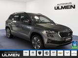 Skoda Karoq Tour 4x4 2,0 TDi DSG AHK Digitales Cockpit - Skoda Karoq: Tour