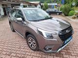 Subaru Forester 2.0ie Trend Lineartronic, 1.Hd. AHK - Subaru Forester: Trend