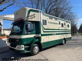 DAF LF 55250 Niehoffaufbau 6 Pferde - Angebote entsprechen deinen Suchkriterien