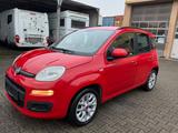 Fiat Panda Lounge Automatik - Fiat Panda mit Benzin-Antrieb: Kleinwagen, Automatik