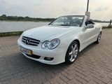 Mercedes-Benz CLK 200 KOMPRESSOR Sport Edition TÜV 11/26 - Mercedes-Benz: Weiß, Clk
