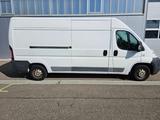 Fiat Ducato Kastenwagen Weiß L4H2 - Fiat Ducato: Kastenwagen