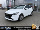 Mazda 2 1.5 (90PS) Autom. Exclusive Dras-P. Navi 360* 
