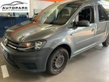 Volkswagen Caddy Maxi Trendline 2.0TDI 102PS 5-G*KLIMA*PDC - Volkswagen Caddy Maxi: Trendline