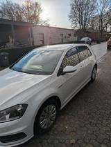 Volkswagen Golf 1.2 TSI 63kW BMT CUP CUP mit Standheizung  - : mit TÜV, mit