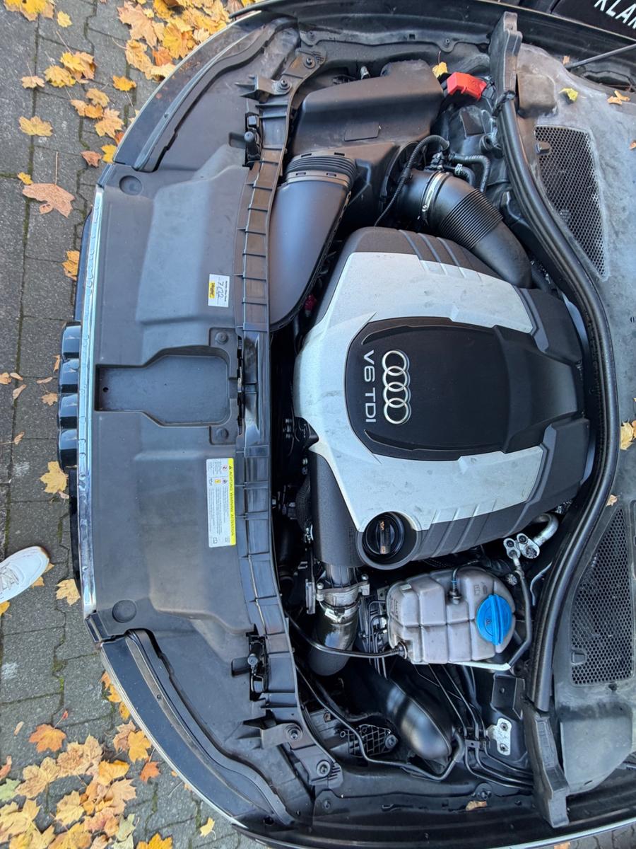 Audi Quattro 2012 — photo 17