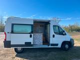 Fiat Ducato Natural Power CNG - L2H2 Camper  TÜV 2028 - Fiat Ducato: Power