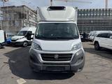 Fiat Ducato - Fahrgestell Ducato