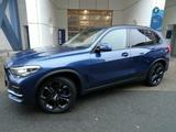 BMW X5 30d xDrive SAG,ACC,Leder,AHK,360° - blaue BMW X5