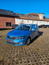 Skoda Fabia Style / Sitzhzg. / Dachträger / 8-fach - Skoda Fabia mit Diesel-Antrieb