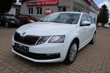 Skoda Octavia 1.6 TDI DSG Combi Navi,SHZ,Standheizung - Skoda Octavia Gebrauchtwagen in Augsburg