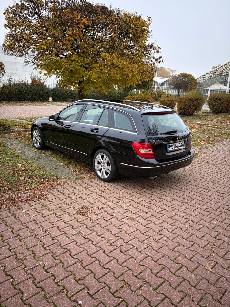 Mercedes-Benz C220 2013 — interior