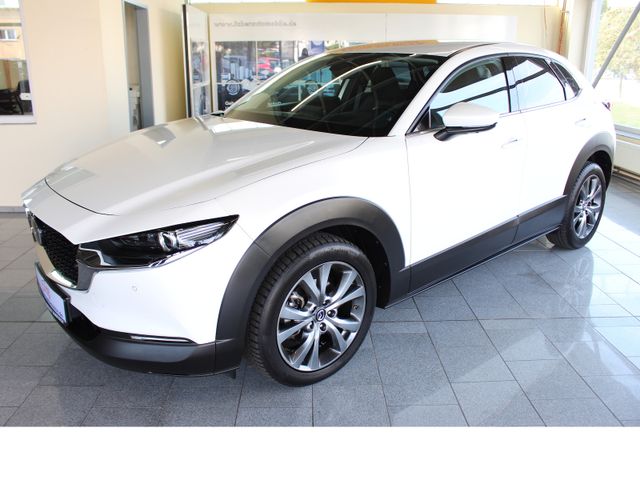 Mazda CX-30 Selection AWD *NAVI*KAMERA*APPLE CAR PLAY*