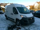 Fiat Ducato Hochr.-Kasten 35 140 L2H2 RS: 3450 mm - Fiat Ducato Gebrauchtwagen in Stuttgart