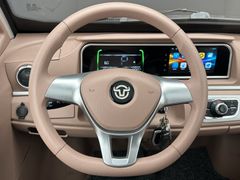 ANDERE RDB Smart Elektro 25 km/h ++ AKTION bis 28.02.26