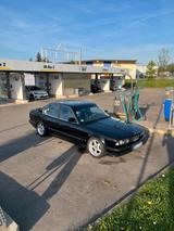 BMW E34 525i 24V M50B25 NV - BMW 525: 525i 24v