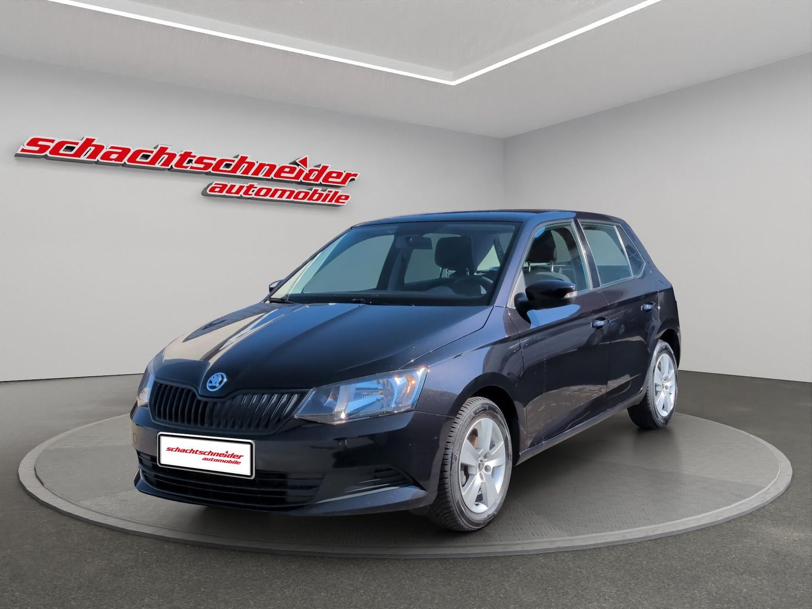 Skoda Fabia Active 1.0 TSI+DAB+Allwetter+