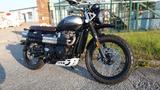 Triumph Street Scrambler 900 Sandstorm - TRIUMPH SCRAMBLER