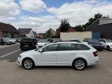 Skoda Octavia Combi Style 4x4 Leder Touch Navi AHK - Skoda Octavia: Leder