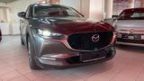 Mazda CX-30 Selection 2WD / 1. Hand
