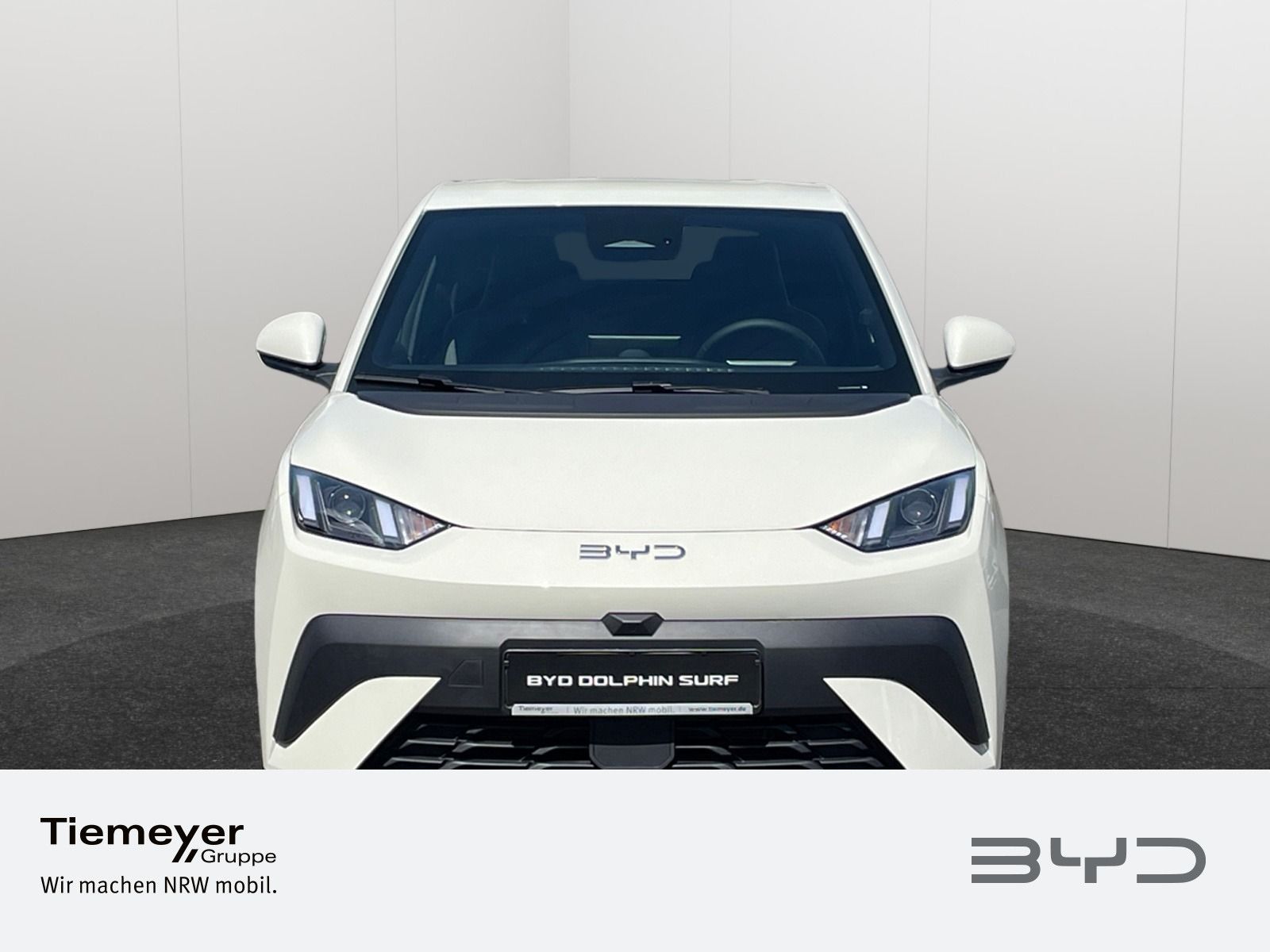 BYD DOLPHIN SURF
