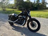 Harley-Davidson XL1200N Nightster Sportster 5HD / Falcon / Top - HARLEY-DAVIDSON 2008 SPORTSTER 1200