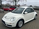 Volkswagen New Beetle 1.4*KLIMA*TÜV/ASU NEU*NUR 113.TKM*TOP - Volkswagen New Beetle mit Benzin-Antrieb: Limousine