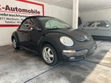 Volkswagen New Beetle Cabriolet 1.6 Klima TüV NEU - Volkswagen New Beetle aus 2007