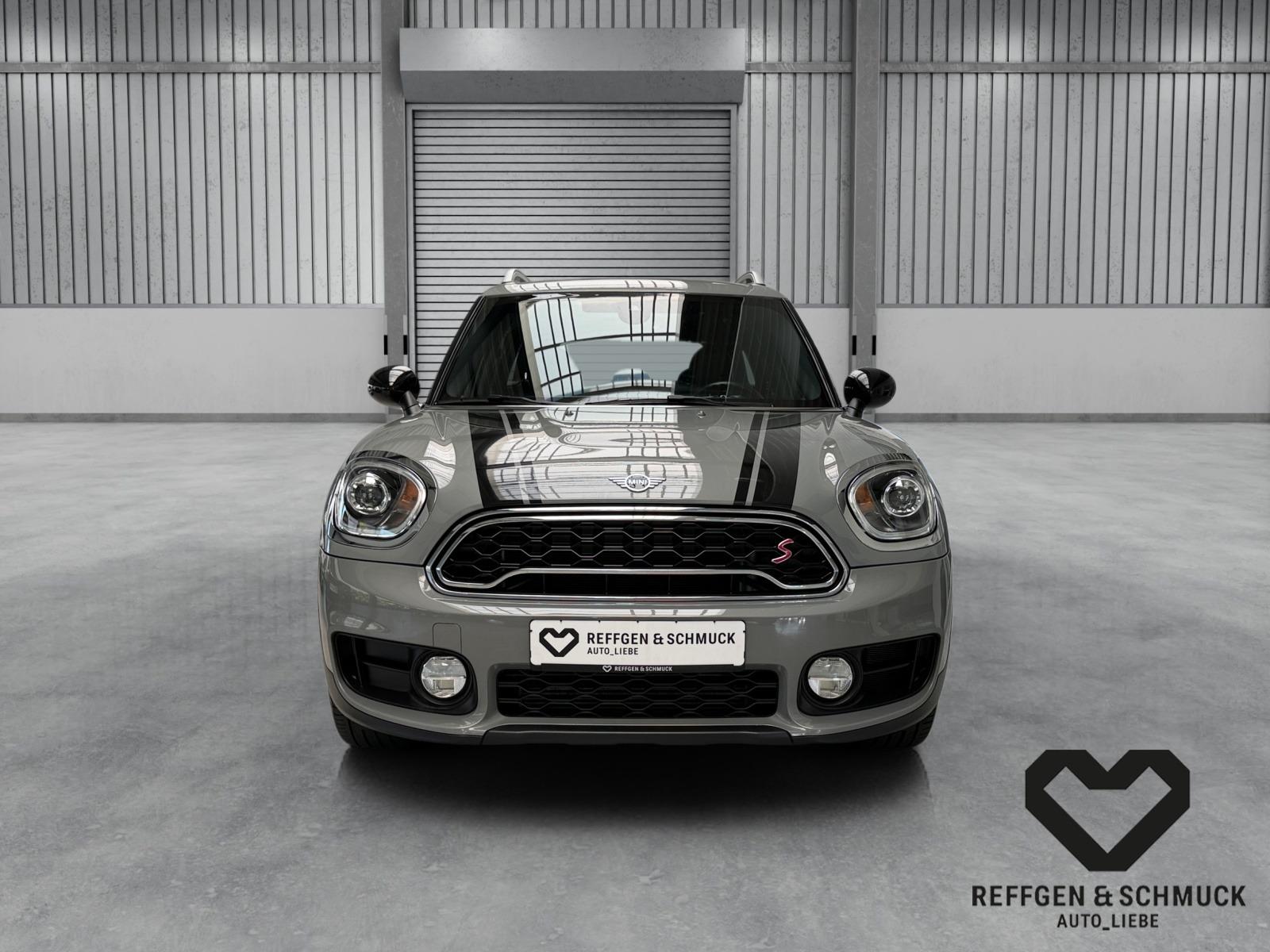 MINI COOPER S COUNTRYMAN LEDER +PEPPER+NAVI+PANO+LED+