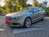 Audi S5 Sportback 3.0 V6 333PS quattro, ACC, Kam - Audi S5 in München