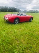 Austin Healey Andere - Austin Healey Gebrauchtwagen von 1960
